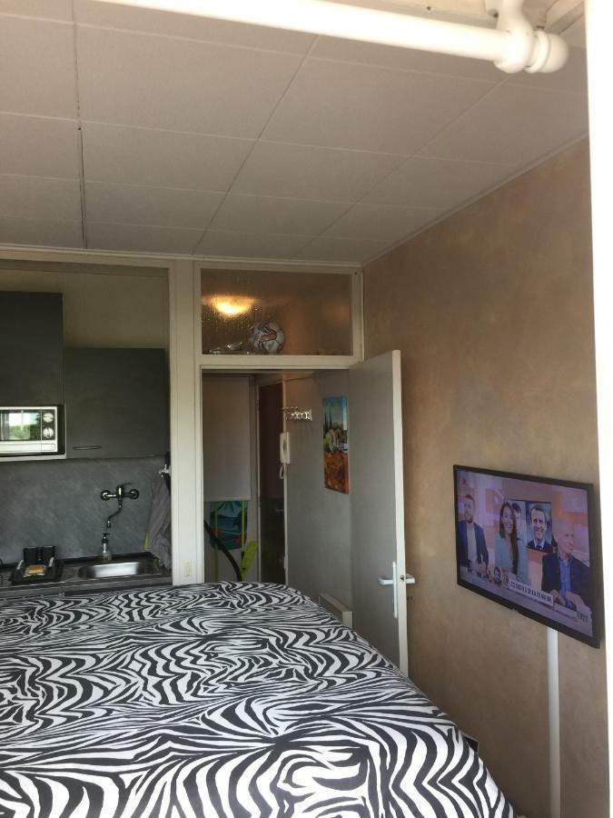 Frejus Studio מראה חיצוני תמונה